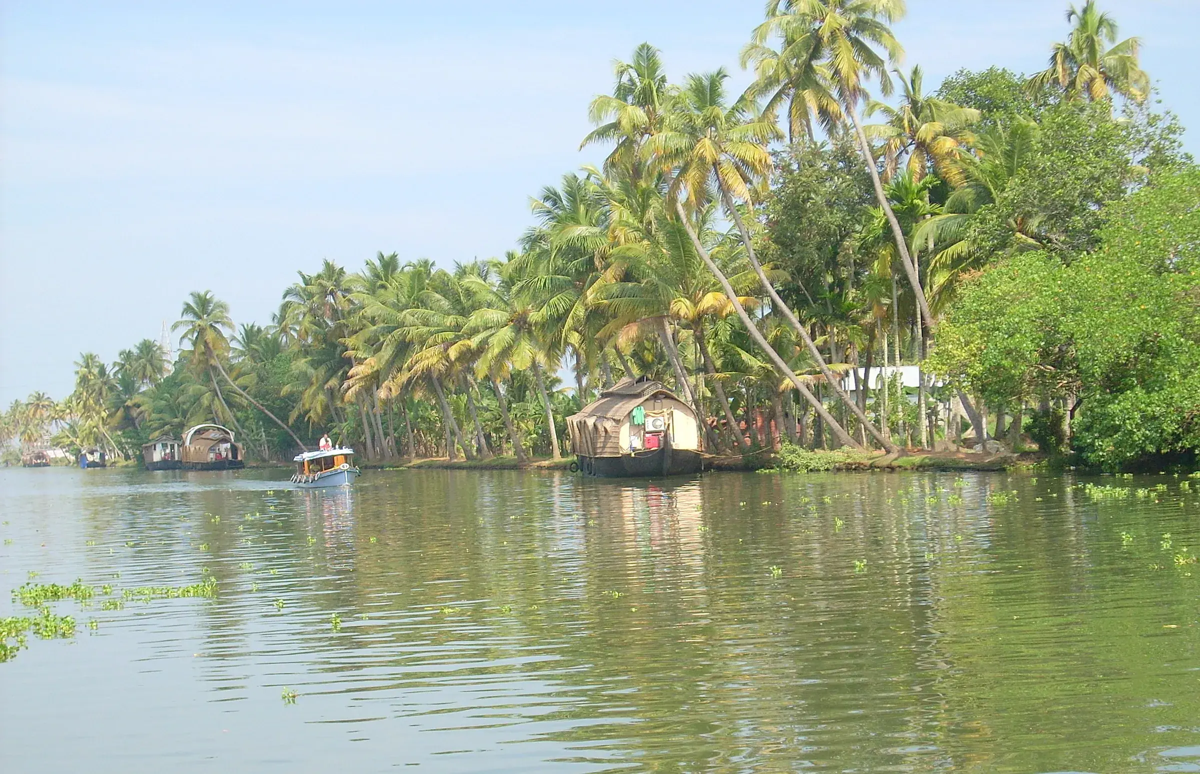 Houseboats lined up on a canal in Kuttanad